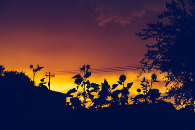 Low angle view of silhouette trees against sky at sunset