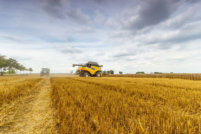 Agricultural field against sky