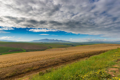 Scenic view of agricultural field against sky