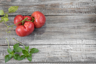 High angle view of vegetables on table