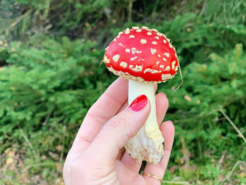 Close-up of hand holding mushroom