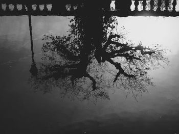 Silhouette tree by lake against sky