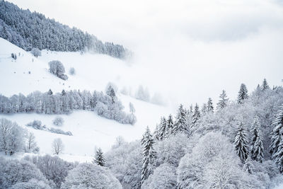 Scenic view of snow covered mountains against sky