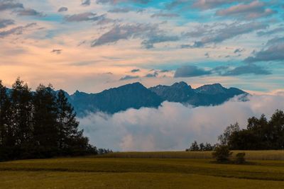 Scenic view of field against sky during sunset