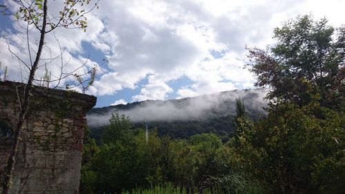 Scenic view of tree mountains against sky