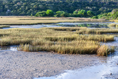 Scenic view of lake