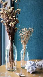 Close-up of plant on table