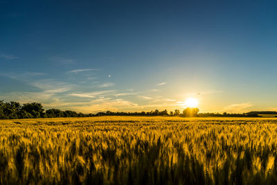 Scenic view of field against sky during sunset