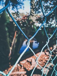 Close-up of chainlink fence