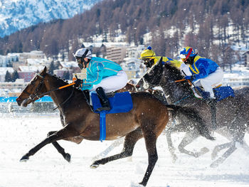 Panoramic view of people on snow