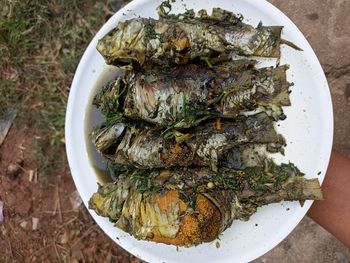 High angle view of food in plate on field