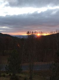 Scenic view of tree against sky during sunset