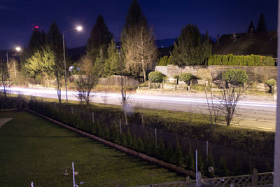 Empty road along trees at night