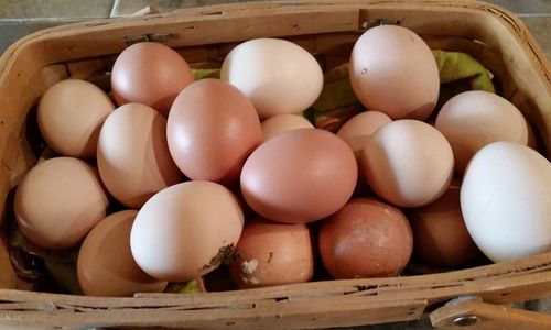 Close-up of eggs in wicker basket