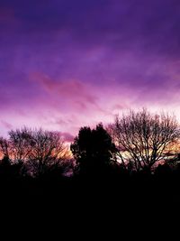 Silhouette trees against dramatic sky during sunset