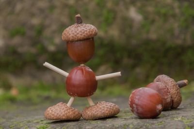 Close-up of figurine made with acorns on rock