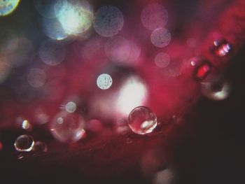 Close-up of water drops on glass