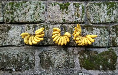 Bunch of bananas hanging from wall