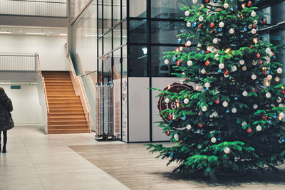 Christmas tree in building seen through glass window