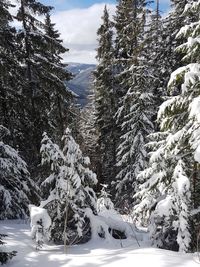 Scenic view of snow covered mountains against sky