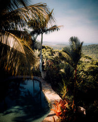 Scenic view of palm trees on landscape against sky