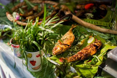 High angle view of fish in plate