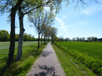 Empty road amidst trees on field against sky