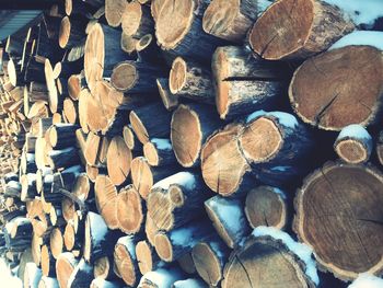 Full frame shot of logs in forest