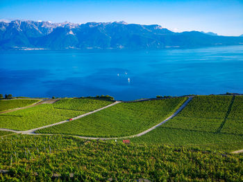 Unesco world heritage, saint saphorin, lavaux