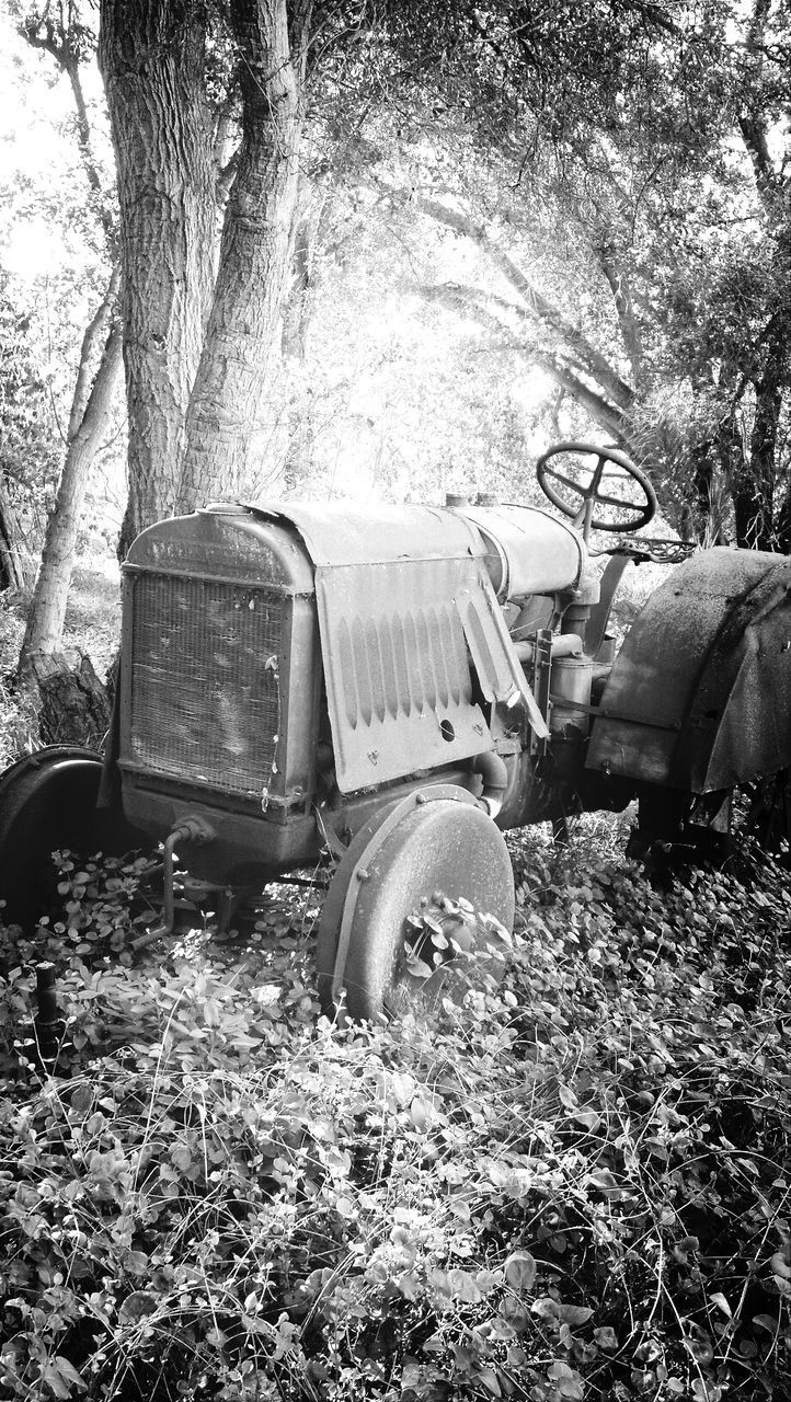 transportation, tree, plant, abandoned, land vehicle, growth, mode of transport, built structure, old, day, grass, obsolete, outdoors, architecture, damaged, no people, nature, front or back yard, car, field