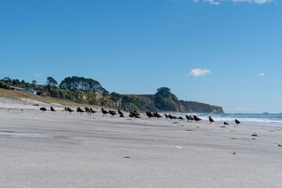 Scenic view of beach against blue sky