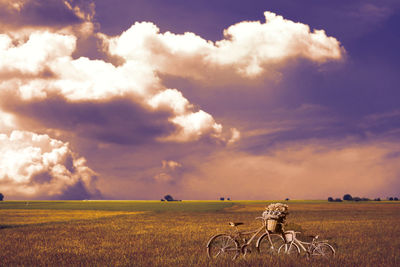 Scenic view of agricultural field against sky during sunset