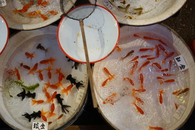 High angle view of fish in bowls at market for sale