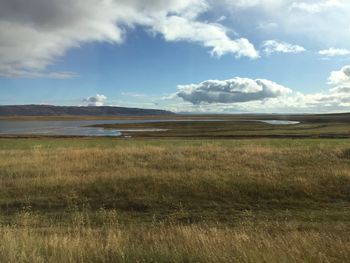 Geysir, bláskógabyggð - iceland