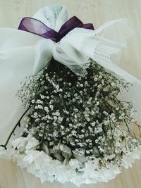 High angle view of white flowering plant