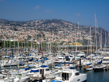 Sailboats moored at harbor