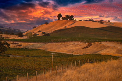 Scenic view of field against sky during sunset