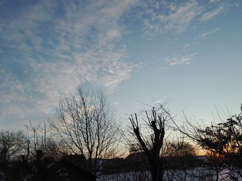 Low angle view of silhouette bare trees against sky during sunset