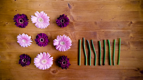 Directly above shot of pink and purple gerbera daisies on table