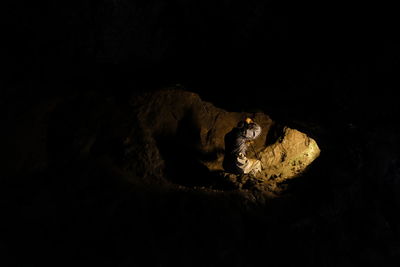 Close-up of crab on rock against black background