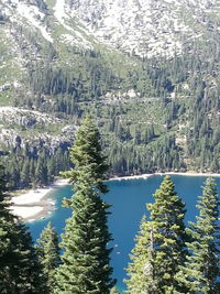 High angle view of lake and trees in forest