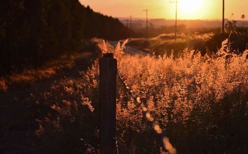 View of landscape at sunset