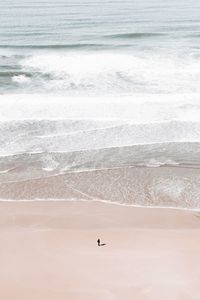 View of birds on beach