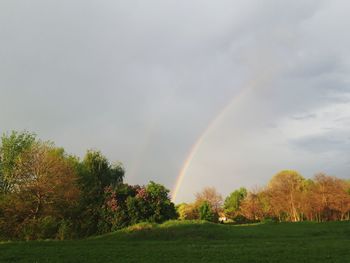 rainbow