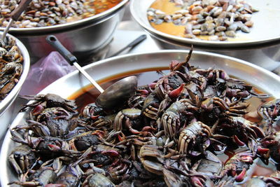 Close-up of crabs in plate