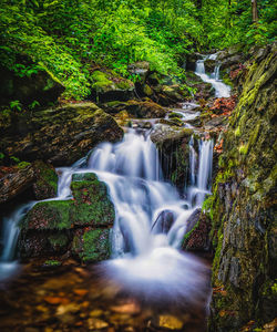 View of waterfall in forest