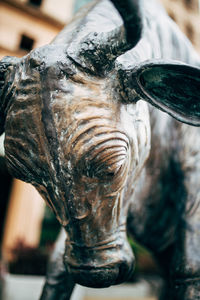 Close-up of horse statue