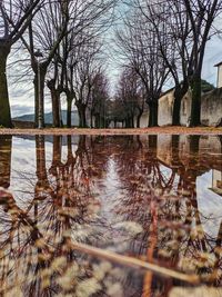 Bare trees by lake against sky