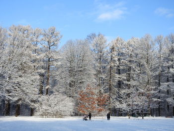 Bare trees on snow covered field against sky