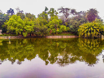 Reflection of trees in lake against sky